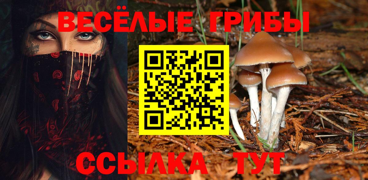Псилоцибиновые грибы Cubensis  Вход с VPN  Майский  Галлюциногенные грибы Magic Shrooms 